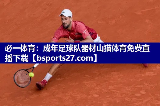 必一体育：成年足球队器材山猫体育免费直播下载