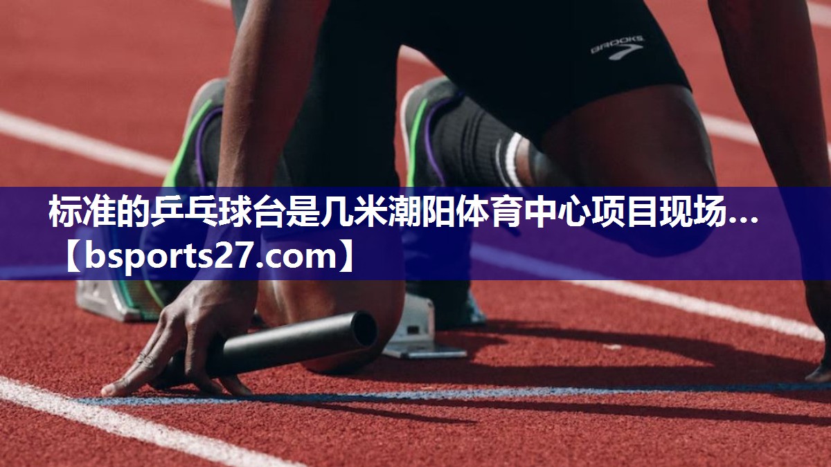 标准的乒乓球台是几米潮阳体育中心项目现场…