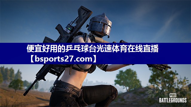 便宜好用的乒乓球台光速体育在线直播