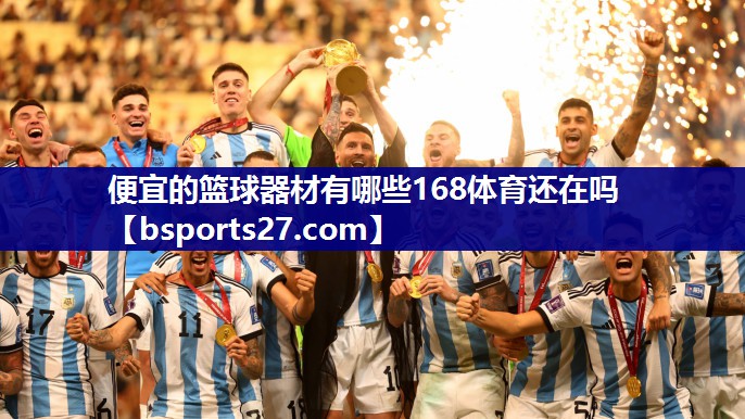 便宜的篮球器材有哪些168体育还在吗