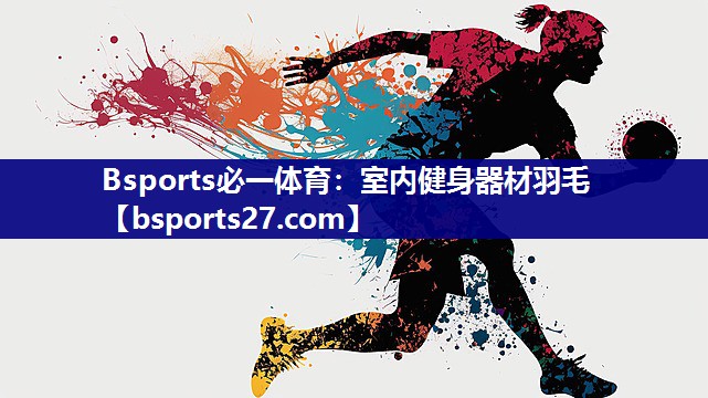室内健身器材羽毛 室内健身器材羽毛