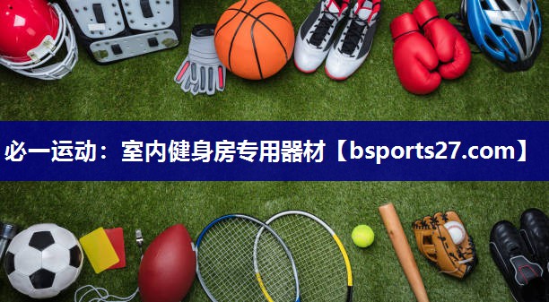 室内健身房专用器材 室内健身房专用器材