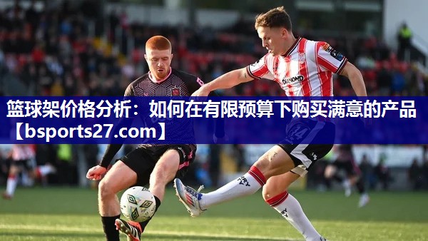 篮球架价格分析:如何在有限预算下购买满意的产品 篮球架价格分析:如何在有限预算下购买满意的产品