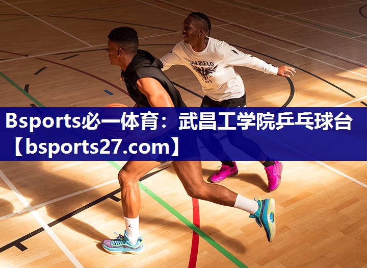 武昌工学院乒乓球台