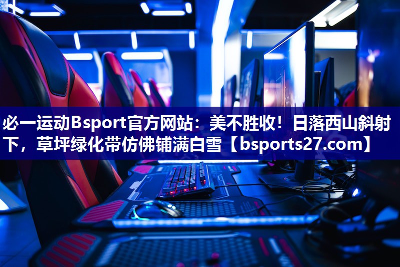 美不胜收！日落西山斜射下，草坪绿化带仿佛铺满白雪
